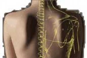 Centro de Fisioterapia Lumen: Terapia Manual Avanzada