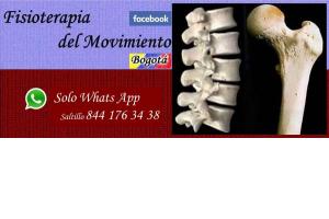 Fisioterapia del Movimiento Rehabilitacion Terapia física fisioterapeutas centros clínicas consultorios fisioterapistas terapistas físicos  a domicilio en Salltillo