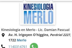 Kinesiologia Merlo