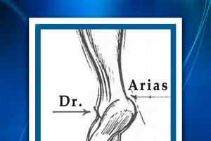 Therafisica "Dr Arias." ESPECIALIDAD EN MEDICINA DEL DEPORTE IPN