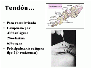 Psicología aplicada a la recuperación deportiva. Experiencia piloto en CEREDE