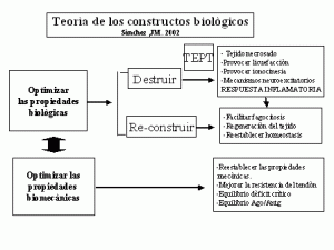 Terapia acelerada de la tendinopatía rotuliana del deportista mediante la técnica de electrólisis percutánea transtendinosa (TPET)