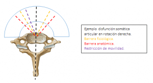 Lesión osteopática y disfunción somática.