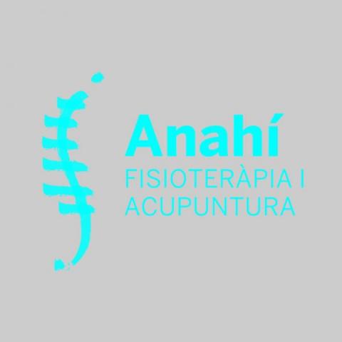 Anahí Fisioteràpia i Acupuntura