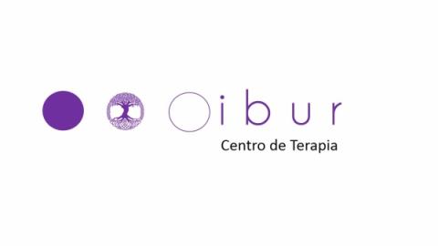 Ibur centro de fisioterapia