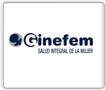 GINEFEM