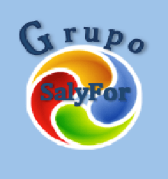 Grupo Salyfor