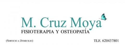 Fisioterapia Moya