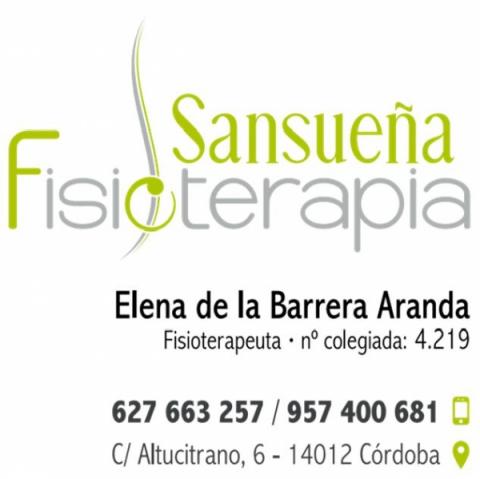 Fisioterapia Sansueña 