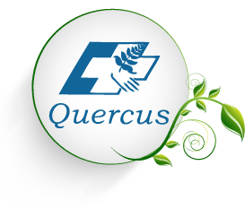 QUERCUS - Fisioterapia y osteopatía