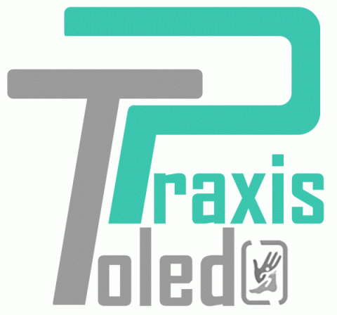 Centro de Fisioterapia PRAXIS TOLEDO 