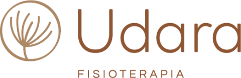 Udara fisioterapia